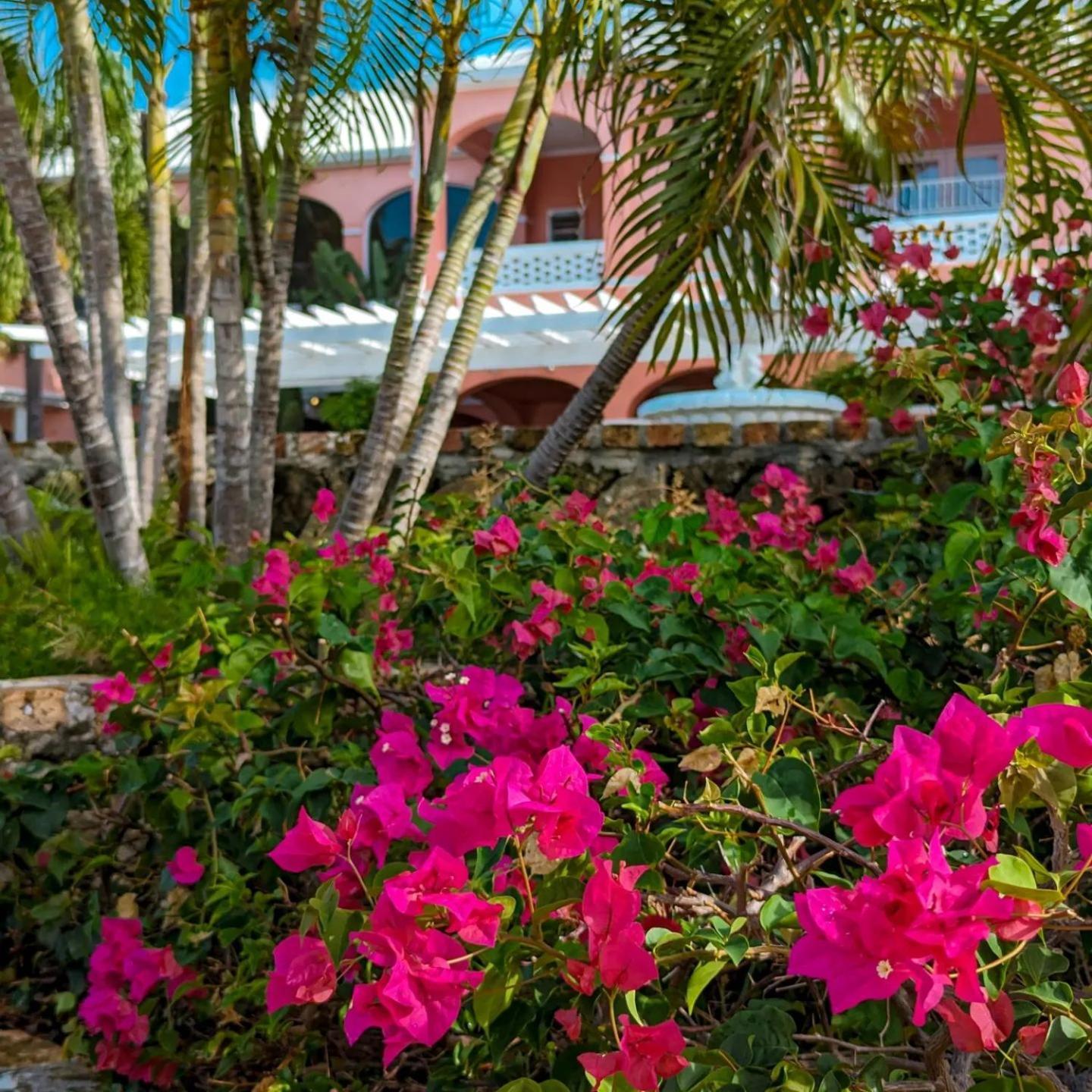The Buccaneer Beach & Golf Resort Christiansted Cameră foto